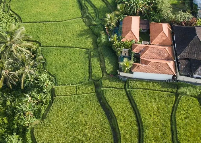 Maison d'hôtes Nia Cahya Ubud Tegallalang (Bali)