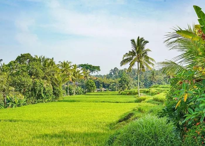 Nia Cahya Ubud Maison d'hôtes Tegallalang (Bali)